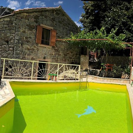 Ethno House Ivanovic Virpazar Luaran gambar