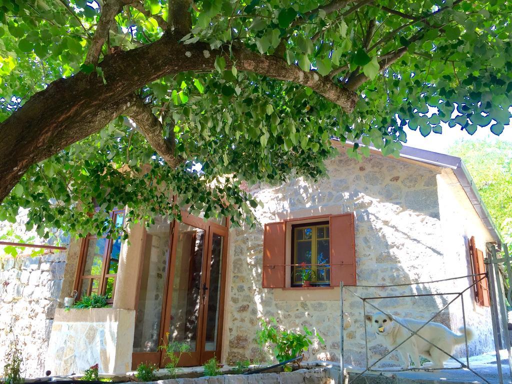 Ethno House Ivanovic Virpazar Luaran gambar